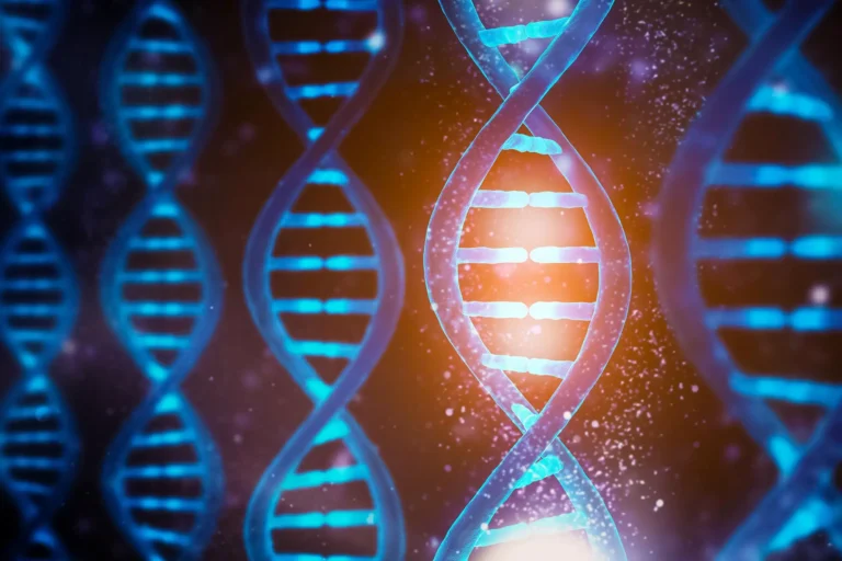 DNA is Not a Lie – Find Out the Hidden Truth With the Test