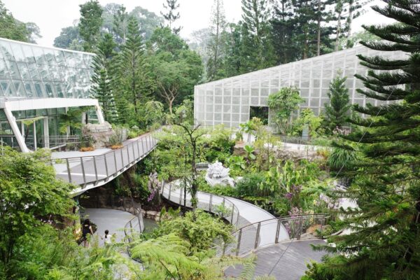 Living Near Green Parks and Botanic Gardens in Singapore and Why It Improves Quality of Life