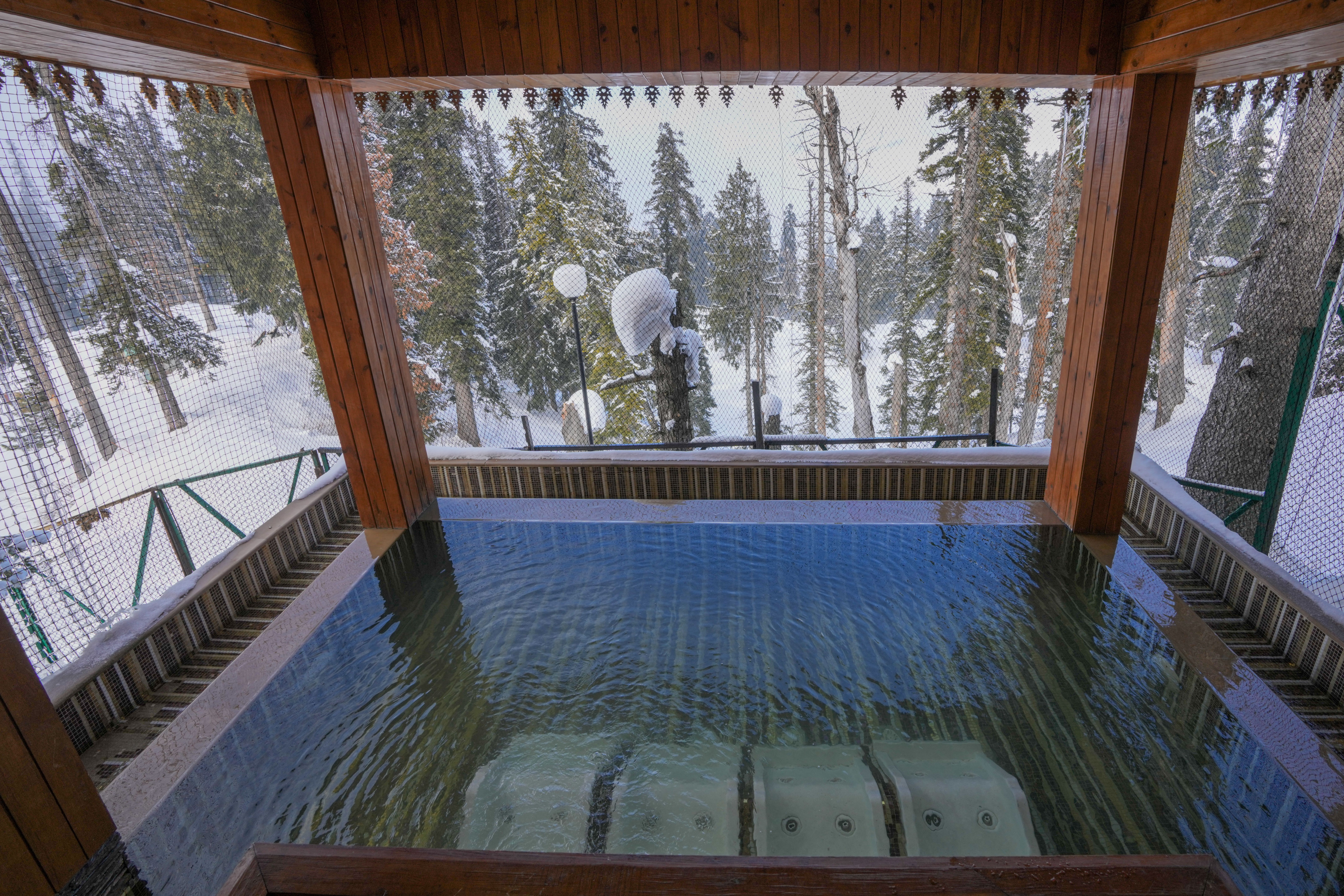 Covered backyard pool with a snowy forest backdrop in winter