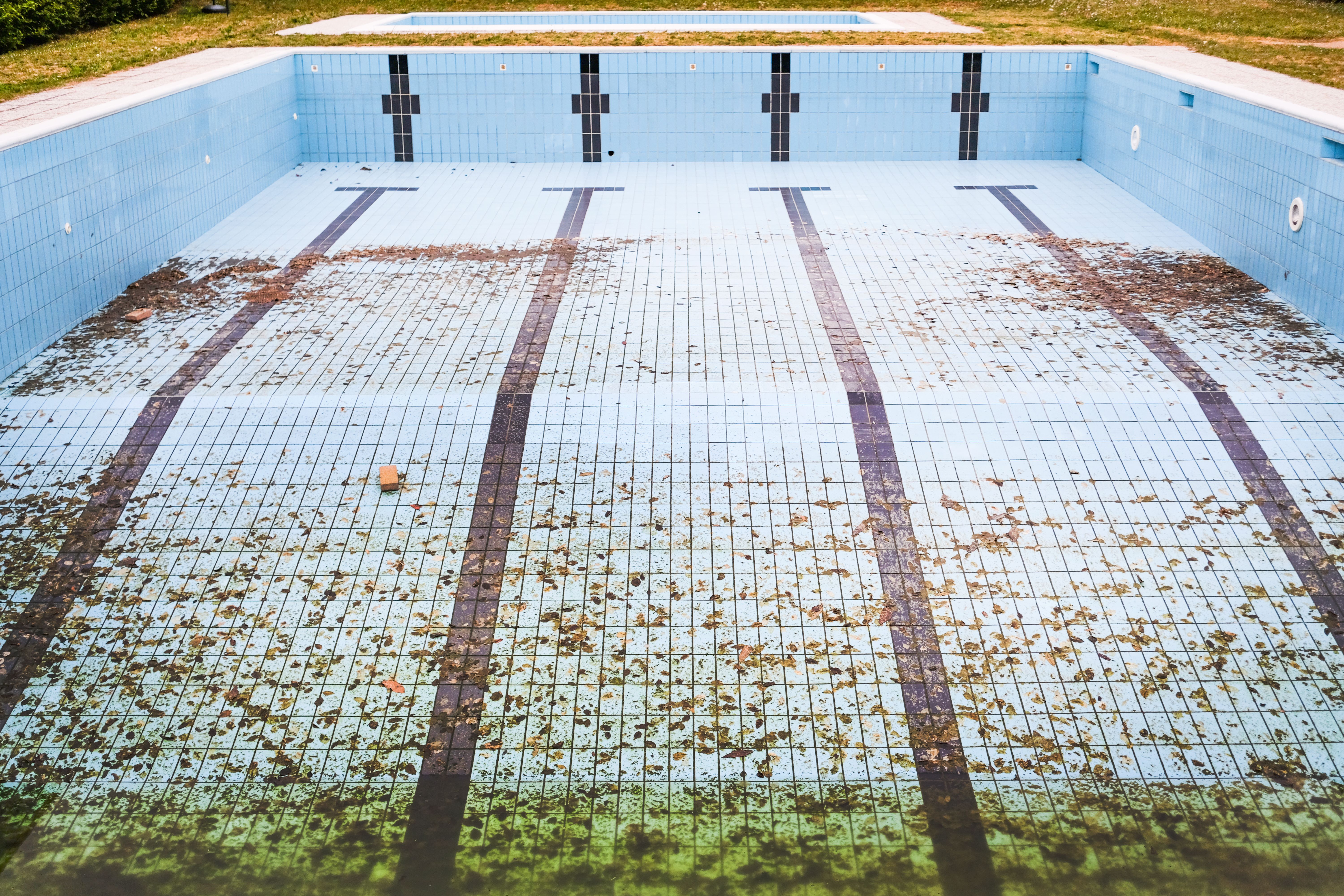 Empty swimming pool with fallen leaves scattered across the surface in autumn